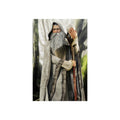 Wizard Fine Art Poster — Mystical Forest Sorcerer Wall Art Print