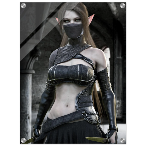 A vertical poster or print featuring a fantasy female elf character with long brown hair, pointed ears, a black face mask, and dark metallic armor, standing in a stone archway. The print is shown against a light gray background with rounded corners and visible mounting holes, suggesting a wall art product.