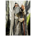 A fantasy wizard figure or collectible character wearing a long gray robe with patterned trim, a white beard, and a headpiece, holding a staff in a misty forest setting.