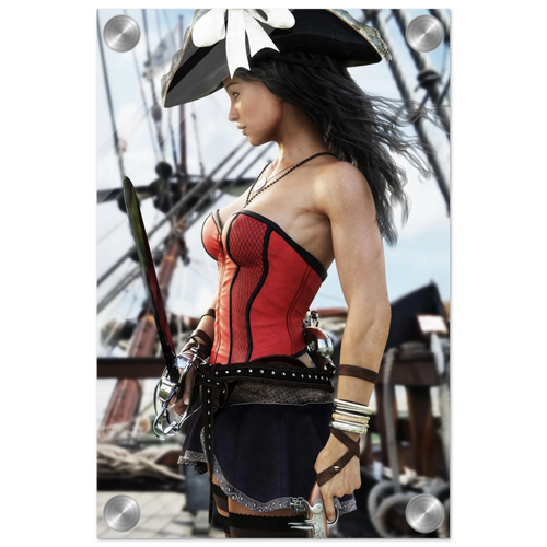 A pirate-themed fashion print featuring a woman in a red and black corset top, dark skirt, and black hat with a white feather, set against a background of a sailing ship.
